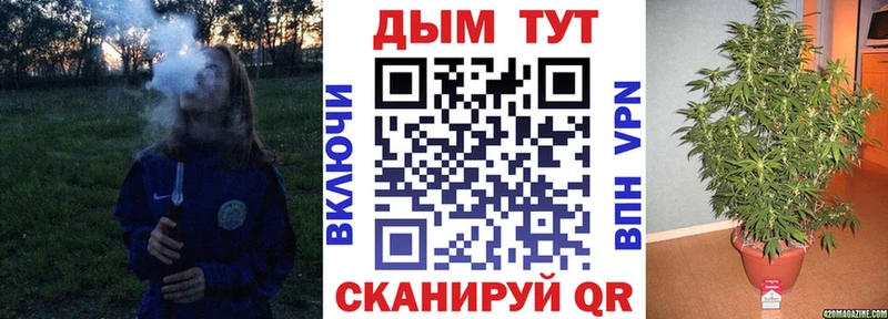 Каннабис гибрид  Кыштым 